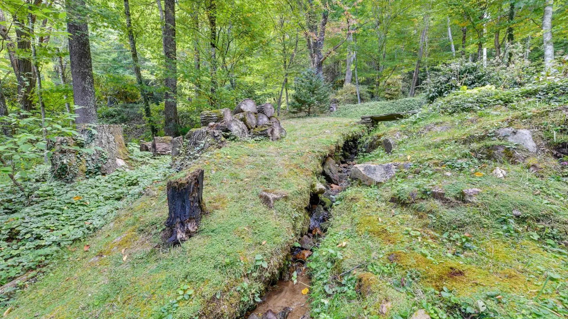 Luxe Blue Ridge Mountain Retreat With Sauna And Creek! Holiday home *