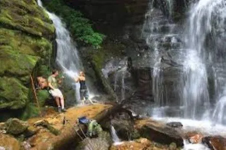 Halfback Ridge-heart Of Maggie Valley-hot Tub-fenced Pet Area-gazebo-views * Maggie Valley