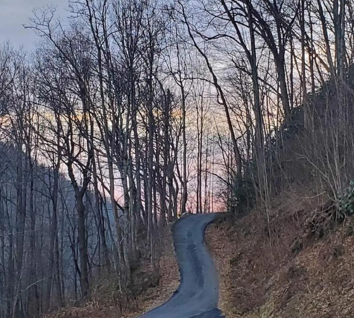 Holiday home Halfback Ridge-heart Of Maggie Valley-hot Tub-fenced Pet Area-gazebo-views Maggie Valley