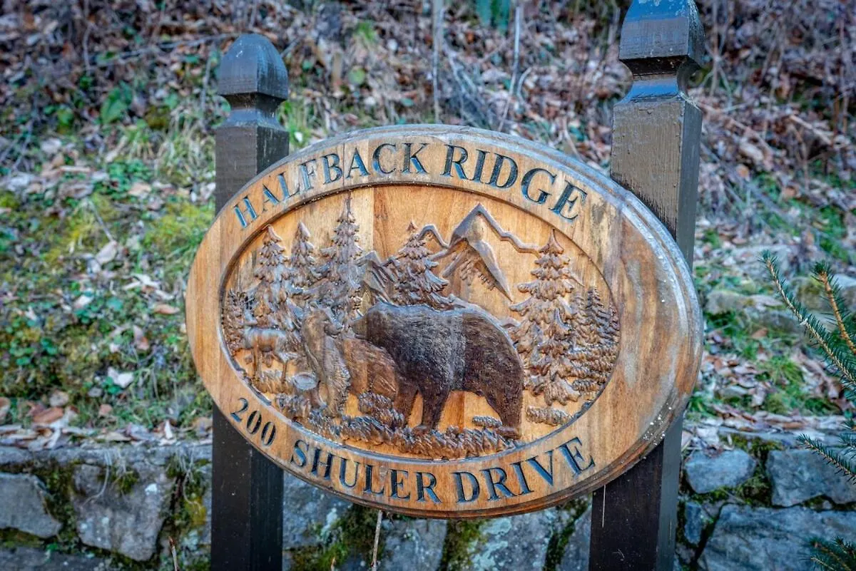 Halfback Ridge-heart Of Maggie Valley-hot Tub-fenced Pet Area-gazebo-views *