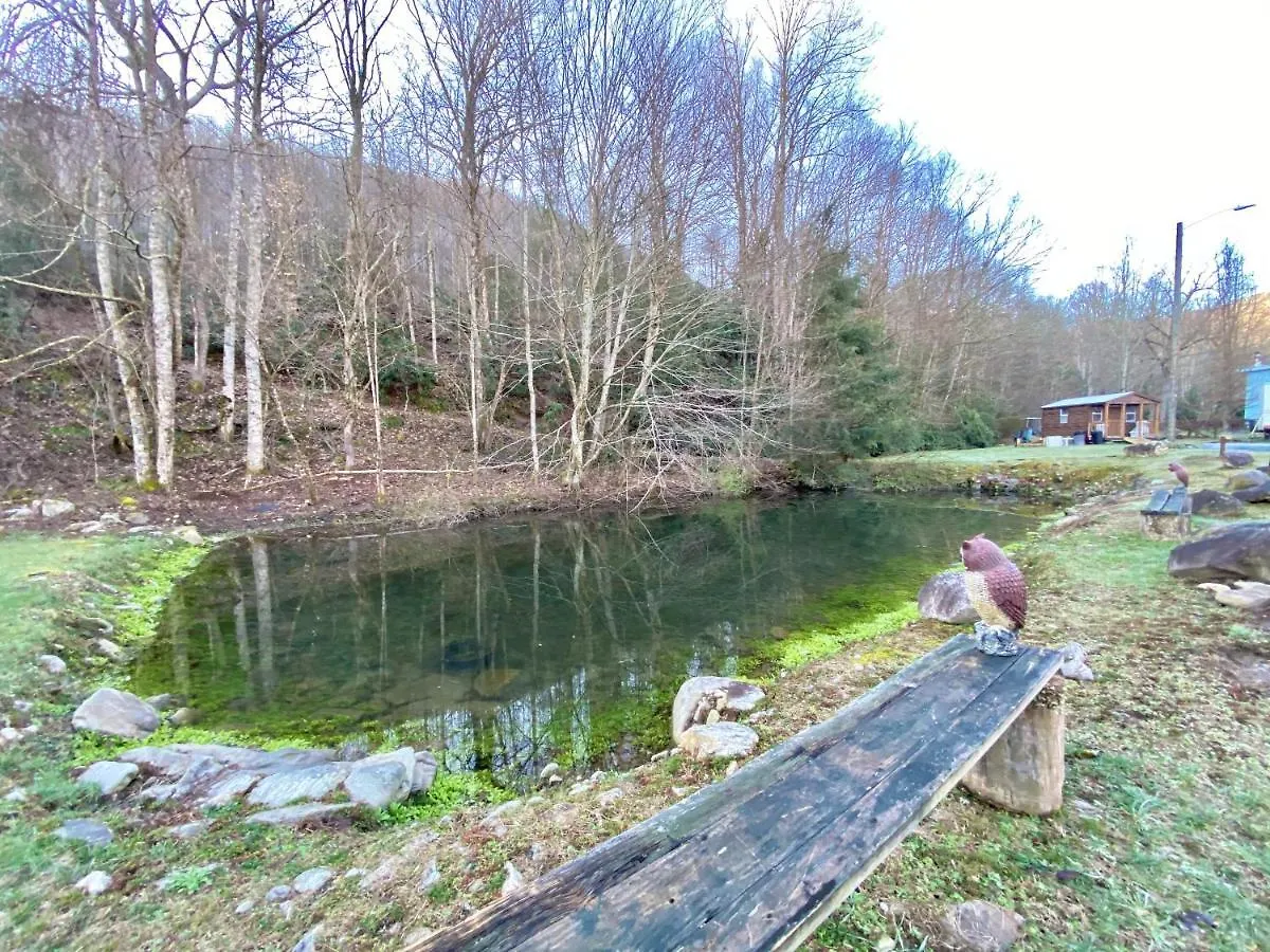度假居 Maggie Valley Cabin Rentals *