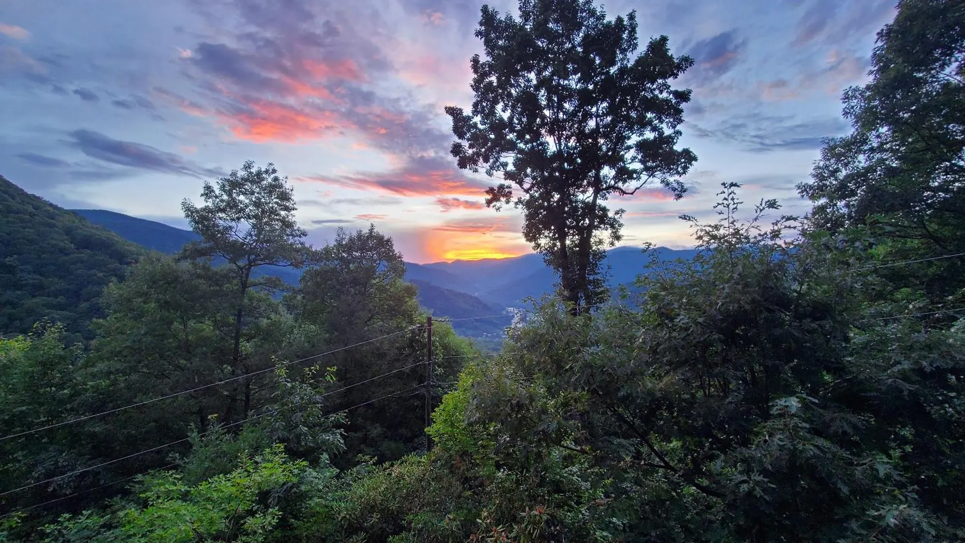 Buckhorn * Maggie Valley