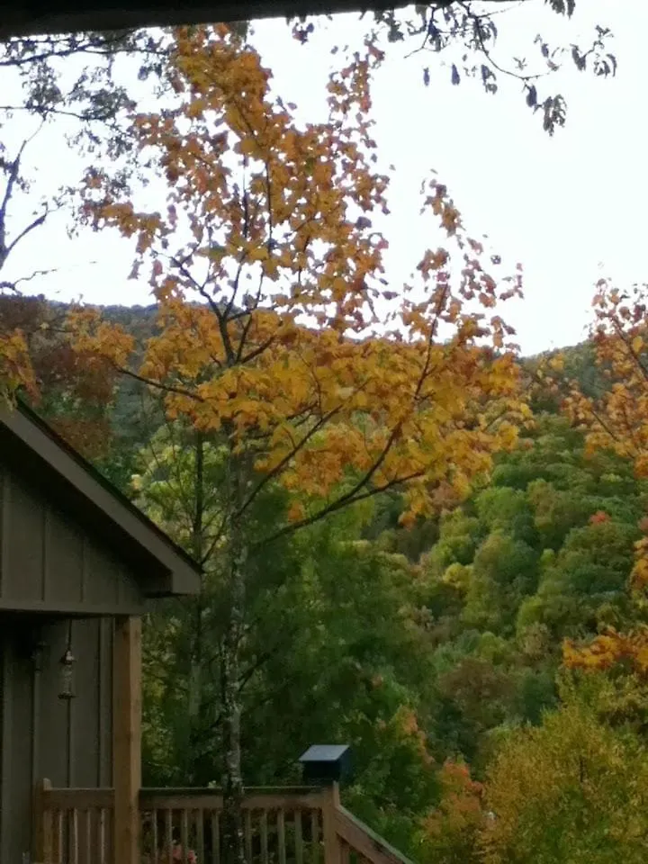 Buckhorn Maggie Valley